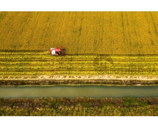 钓鱼、观鸟、摘橘子……用镜头定格乡村晚秋美景｜城市摄影队