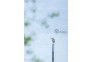 《小憩》+靳进+18802710679_看图王