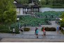 孙树海+13971169908-悠闲白露中
