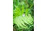 2_24节气-白露_吴娟_13995576066