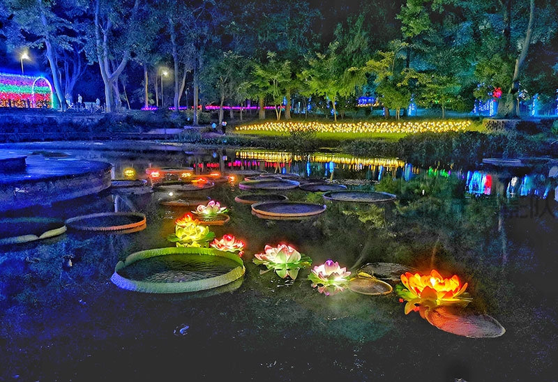 武汉植物园“国庆”灯展