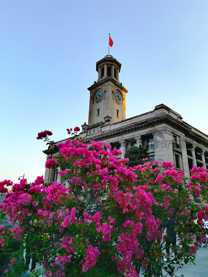 江汉路人如潮花如海