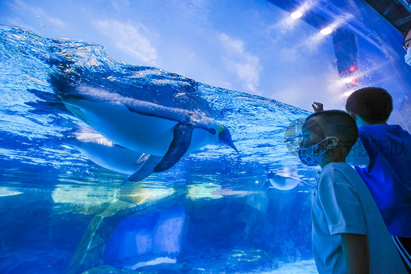 海昌极地海洋世界