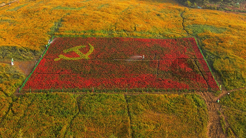 光谷政务中心旁的花海