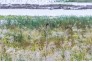 2群-李梓固-摄---沉湖6