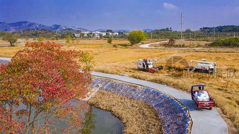 黄陂研子村