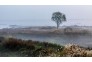 2群-李梓固-摄-府河湿地公园1
