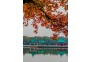 1群-韩昶光-摄-东湖风景区秋景-(2)