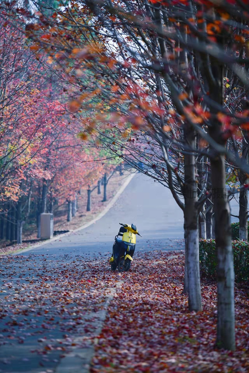 藏龙岛湿地公园