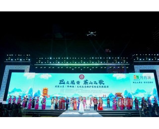 龙舟竞渡，楚韵传情！知音湖北端午文化焕发新活力