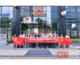 共探数智发展新路径，武汉测绘院长江新区分院与新控集团开展党支部共建活动