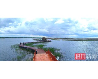 极目看中国|黑龙江富锦：湿地“鹤”谐家园，稻田“掌”握未来