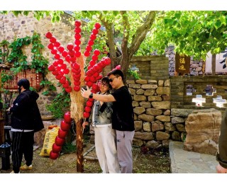 河北唐山迁西县：板栗花开飘香文旅新画卷