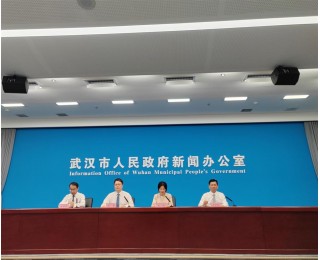 规模占地区生产总值比重超50%，武汉数字经济跃升全国前10