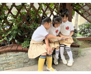 童心探秘，幼小衔接零距离，青山区“家园校”共研科学衔接新路径