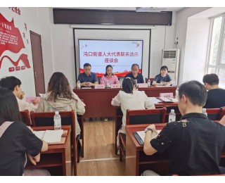 架起民意“连心桥”，履职为民促发展