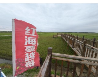抚远，不远！从太空育种到界江熊园，黑龙江抚远打造旅游新名片
