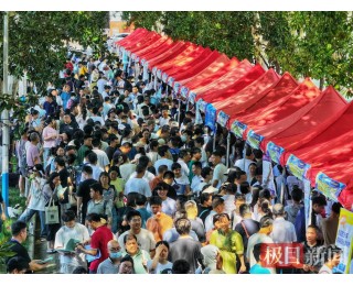 极目新闻高招咨询会：考生家长理性选校，关注就业与专业适配