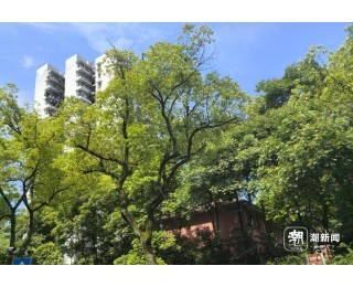 学校附近的出租房迎来换租潮：流转的高中陪读房，流转的故事和青春
