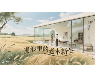 老木新生！“85后”设计师麦田破圈记