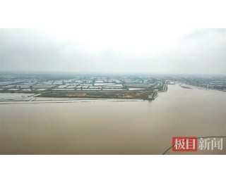 洪湖30天清淤记