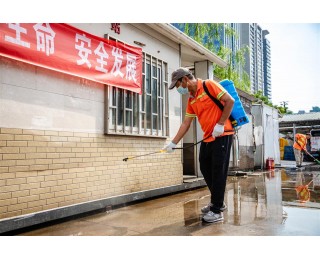 全城出动1.7万余人次，武汉城管织密“防蚊网”