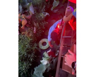 巡逻途中遇老人落水，民警紧急救援化险为夷