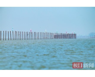 湖北鄂州增添一“生态明珠”，为市民提供优质休憩空间