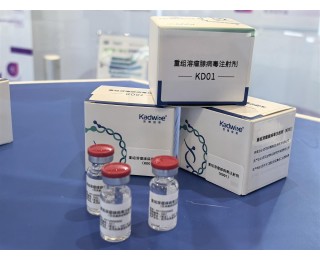 全球首款针对HPV52感染的治疗性疫苗，即将启动临床试验