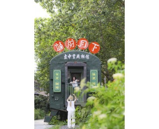 “紫薇”花开处，小巷焕新时，她用镜头带火整条街