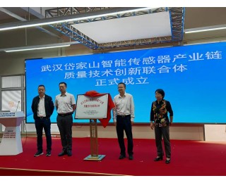 全省首个！智能传感器产业链质量技术创新联合体在武汉岱家山揭牌