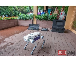 科技赋能立体巡防，东湖公安护航“双节”