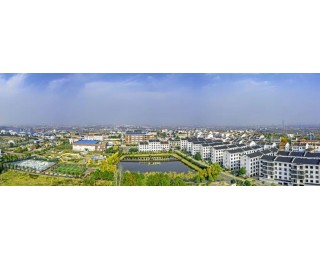 武汉长江新区：优化农村党建联建共建工作单元，加速村集体消薄攻坚