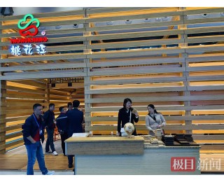 2025国际（武汉）智博会④丨竹子也能盖楼房：抗压抗震还保温