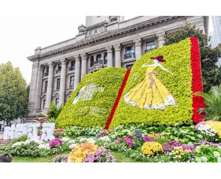 伴随着江汉关的钟声，市民驻足观赏万盆秋菊绘就的“时尚绽放”画卷