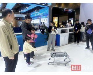 2025国际（武汉）智博会⑯丨“机器眼+AI脑”：智能扫描机器狗破解行业痛点