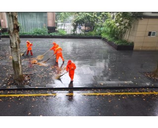 雨天地面落叶很快“消失”，原来是环卫工人干的