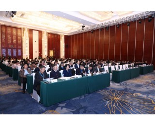 湖北省法学会刑法研究会2025年学术年会在湖北武汉成功举办
