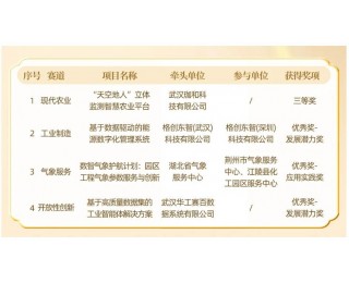 光谷多个项目获数据工作领域全省、全国奖项
