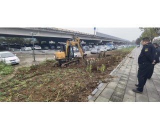 精耕“四线一口”，武湖街道综合执法中心绘就宜居新画卷