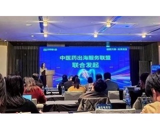 多家单位在武汉联合发起中医药出海服务联盟