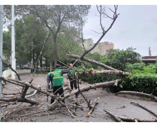 七级大风突袭，洪山城管紧急联动保障市民出行畅通和安全
