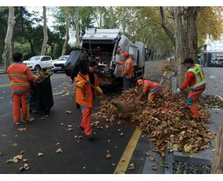 大风中，他们将街头的断枝落叶“打包带走”