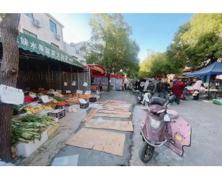 商户为占道经营擅自铺设水泥，新洲城管依法处置还路面原貌