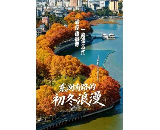 东湖南路上演初冬的浪漫：满径梧桐黄，一路保洁忙