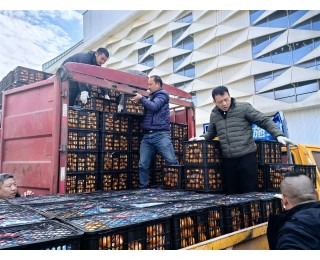 关爱“城市美容师”！爱心企业向武汉环卫工捐赠6万斤蜜桔