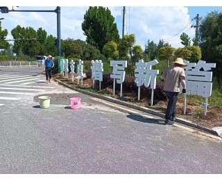 新洲双柳街道扮靓拓宽天翔路，助力“华中食谷”发展