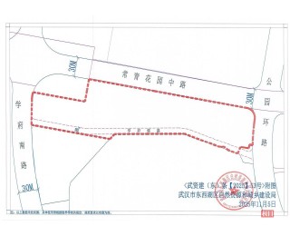 武汉土拍市场年底热潮再现，东西湖区两宗优质地块竞价成交
