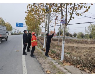 省道柳明线沿线大树被“钉”上30处违规广告，新洲区潘塘街道及时清除