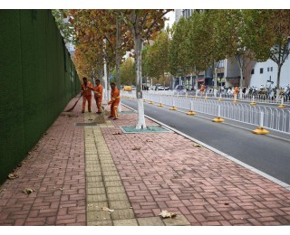 梧桐秋色，“橙”心守护